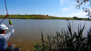 Херабуна. Толстолоб, вываживание...