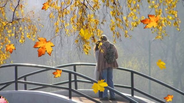 БЕРЕЗА БЕЛАЯ, ЛЮБОВЬ НЕ СМЕЛАЯ смотреть онлайн