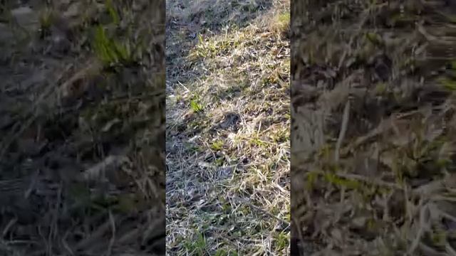 Fun with guns - Target practice смотреть онлайн
