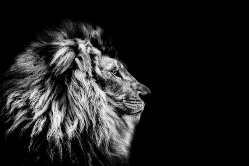 БУДЬ ВЫСОКОМЕРЕН... ВЕДЬМИНА ИЗБА ● ИНГА ХОСРОЕВА смотреть онлайн