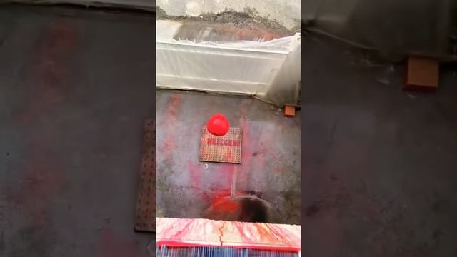 Шарик с водой #shortvideo #эксперимент #смотридоконца #shortsvideo #взрыв #shors смотреть онлайн