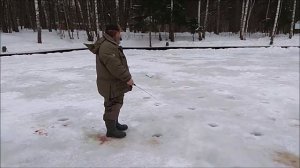 Трудовая рыбалка на спорт-зоне. Клёвое место, Лосиный остров.