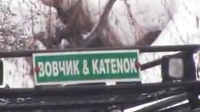 Делика vs Веля.avi смотреть онлайн