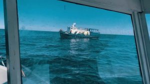 БОЛЬШАЯ ТРЕСКОВАЯ РЫБАЛКА. МАЙ 2021. Уходим в тресковый отрыв! Рыбалка на Кольском полуострове.