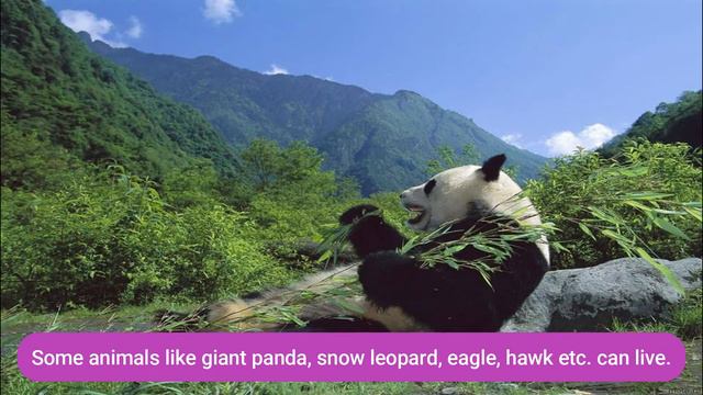 Habitat-Natural and Constructed смотреть онлайн