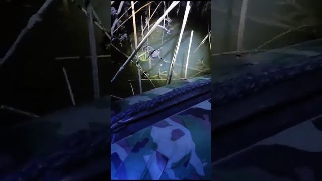 мой папа с дедом рыбаки хорошие смотреть онлайн
