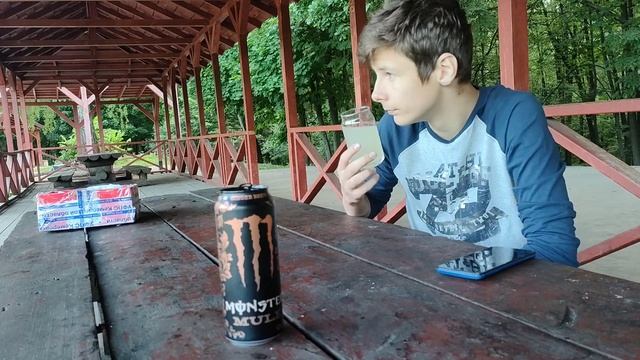Gena Monster Energy/ Mule (Ginger Brew) #4 смотреть онлайн