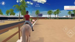 Наша тренировка в игре  ETG. Прокачала лошади менталку.