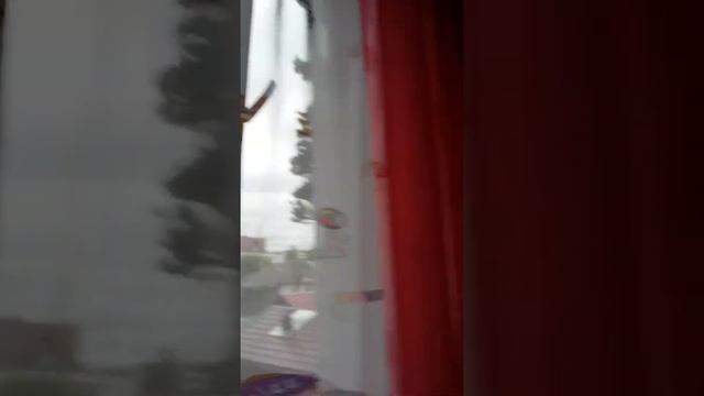 Бабочка-огнёвка!!! смотреть онлайн