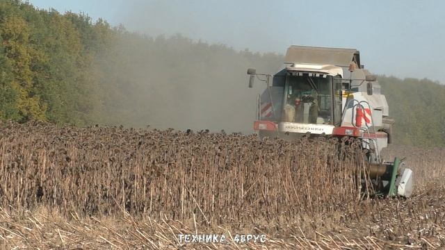 Комбайн Вектор 410. 11 лет в работе - полёт нормальный. Ранний Вектор на обмолоте подсолнечника смотреть онлайн
