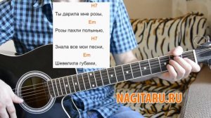 "Ты дарила мне розы". Разбор песни на гитаре
