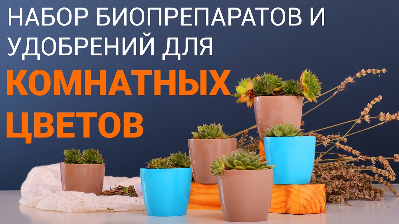 Как ухаживать за комнатными растениями и цветами. Инструкция по набору "Уход за комнатными цветами" смотреть онлайн