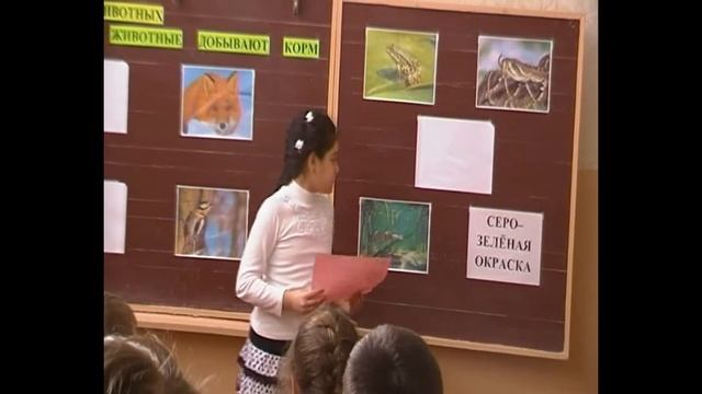 Какие признаки животных помогают им добывать корм? смотреть онлайн