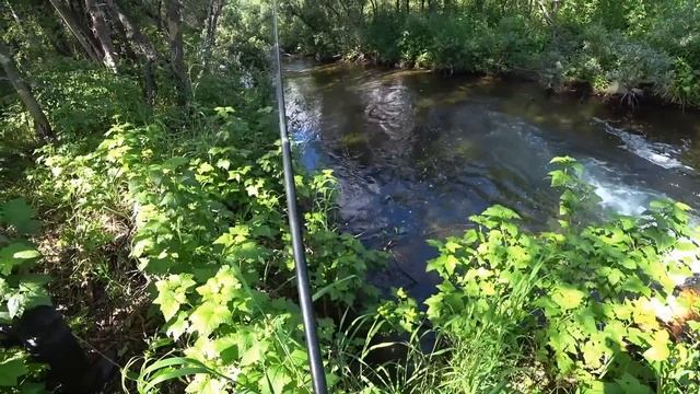 РЕЧКА В КОТОРОЙ КИШИТ ХАРИУС/ ХАПАЮТ ПО 3 ШТУКИ СРАЗУ/ РЫБАЛКА В ДИЧАЙШЕЙ НЕТРОНУТОЙ ТАЙГЕ !!!!!! смотреть онлайн