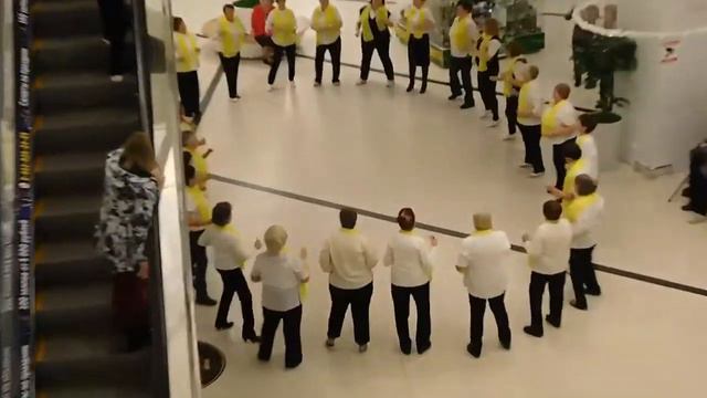 ТАНЦЕВАЛЬНЫЙ ФЛЕШМОБ смотреть онлайн
