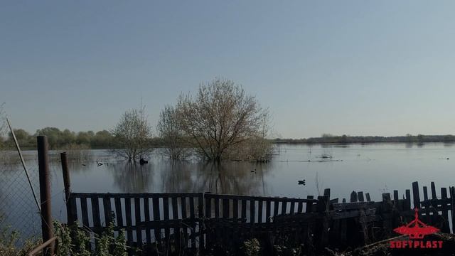 Чучело кряковой утки Softplast Alfa в работе по селезню | Весенняя охота на селезня 2023 смотреть онлайн