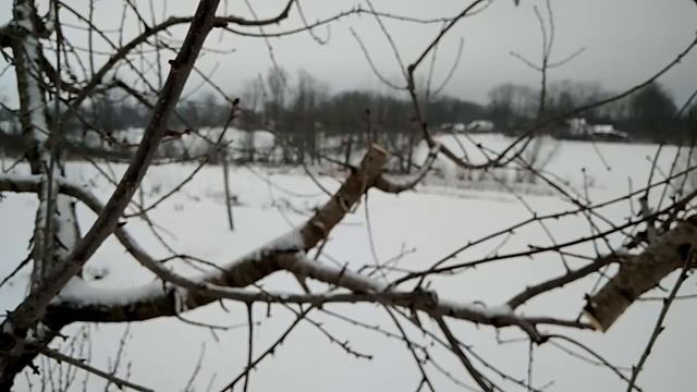 Сравнение ножовок Samurai C-330LH и  GKC-300lh