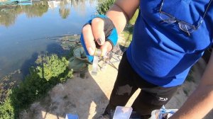 Херабуна  ヘラブナ Herabuna обзор  снасти для ловли карася карп