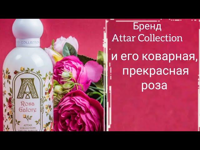 Непредсказуемая Rosa Galore от Attar Collection