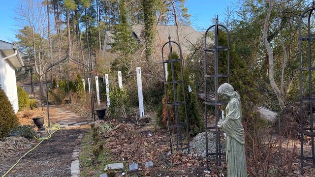🌹 January Garden Walk and 2023 Look Ahead смотреть онлайн
