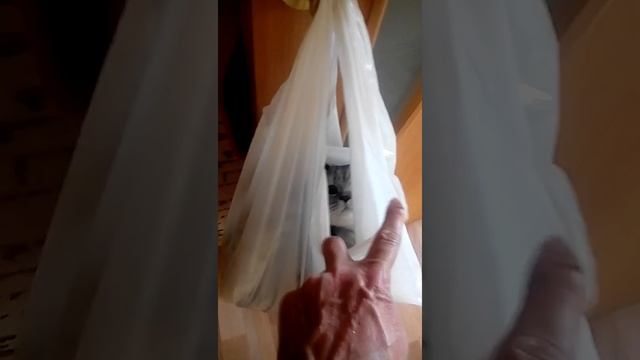 Детёныш кенгуру смотреть онлайн