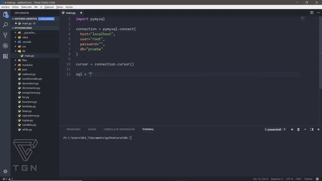 Curso de Python - Conectandose y Guardando datos en MySQL смотреть онлайн