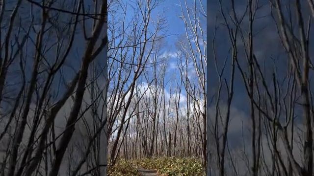 Kushiro-Shitsugen National Park, Kushiro, Hokkaido смотреть онлайн