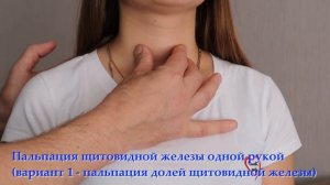 Пальпация щитовидной железы.