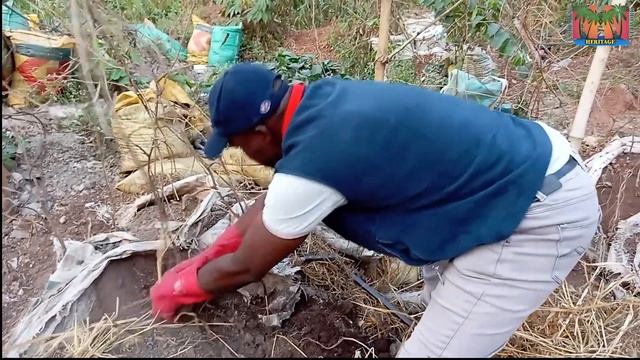 Yam-in-Sacks/Heaps: Powerful Seedyams @ NO COST (Start THIS in 2023) смотреть онлайн