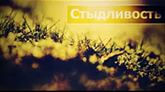 Стыдливость смотреть онлайн