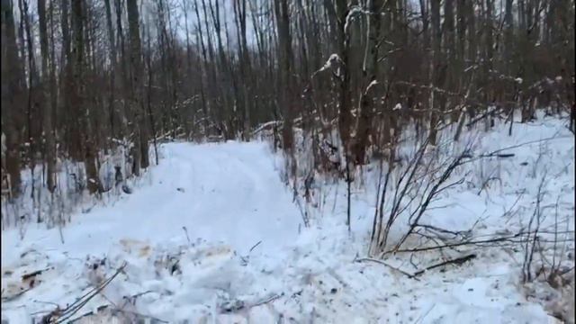Воюем с бобровыми плотинами. Готовим делянку. смотреть онлайн