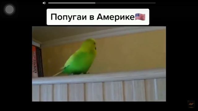 🇺🇸 Америка против России🇷🇺 смотреть онлайн