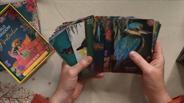 My Tarot and Oracle Deck Collection: Part 2 смотреть онлайн