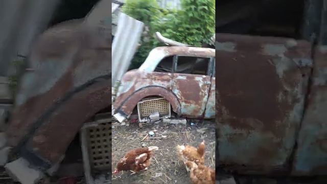 Курочки-несушки или сельская жизнь в своем доме смотреть онлайн