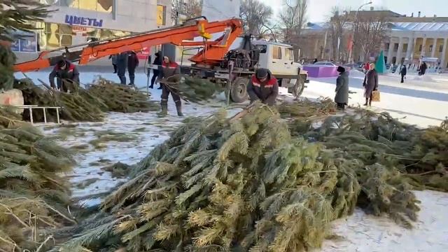 Новогодняя елка из сосен смотреть онлайн