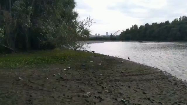 Река Обь в Новосибирске.mp4 смотреть онлайн