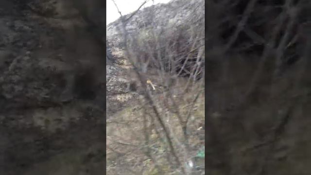 вход в пещеру смотреть онлайн