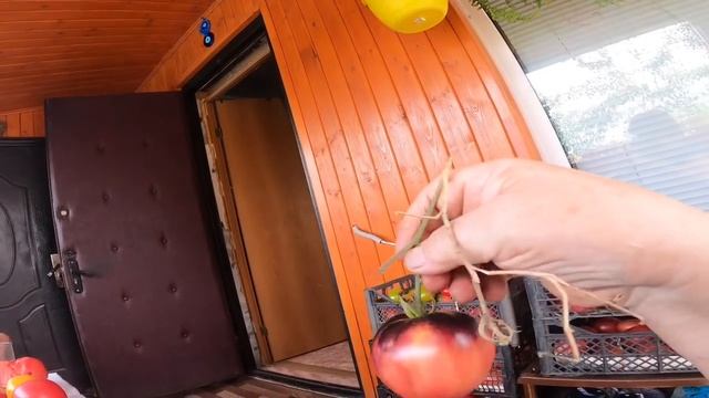 Фитнес для будущих мам