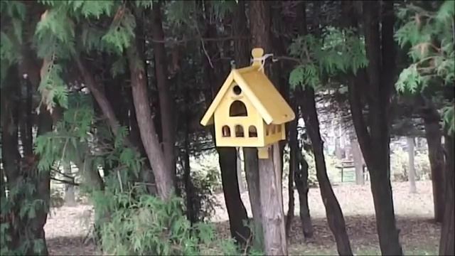 кормушка для птиц своими руками смотреть онлайн