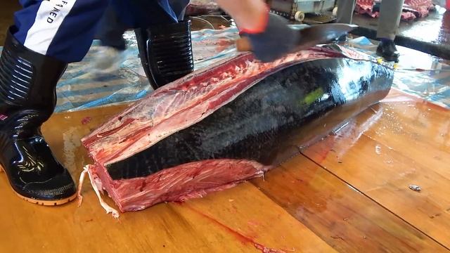 Terrifying Super-Huge Bluefin Tuna Perfectly Cut/藍鰭金槍魚完美切割華麗登場 смотреть онлайн
