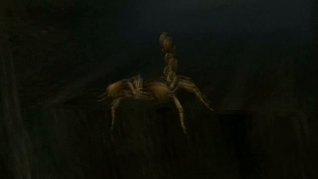 Deadly Creatures [Обзор]