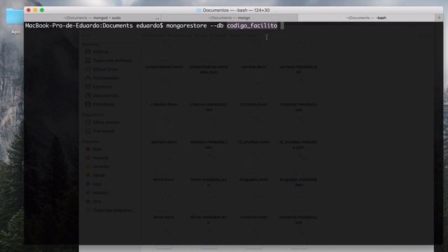 26.- Curso MongoDB - Respaldo Base Datos (final) смотреть онлайн