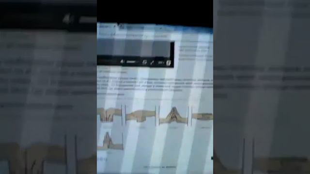 Техника призыва змеи. смотреть онлайн
