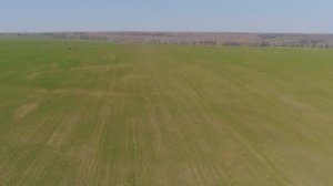 Обзор опрыскивателя Туман 1М | полевые работы | Фермерское дело