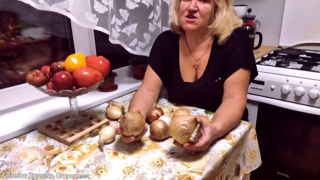 Еще немного про лук ??? Эксибишн. смотреть онлайн