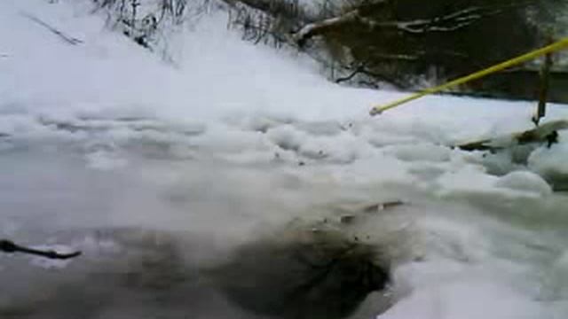 Ловля пескаря на мормышку смотреть онлайн