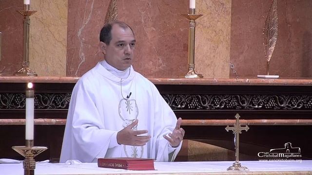 Memoria de San Carlos Borromeo, obispo - Noviembre 4, 2020. смотреть онлайн