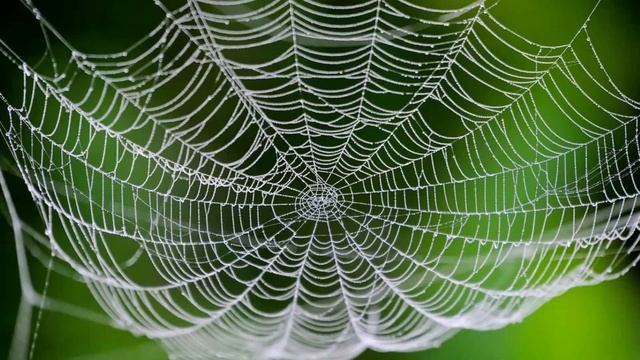Ф.И. Тютчев "Есть в осени первоначальной". Долхонов Дима, 6 Д смотреть онлайн