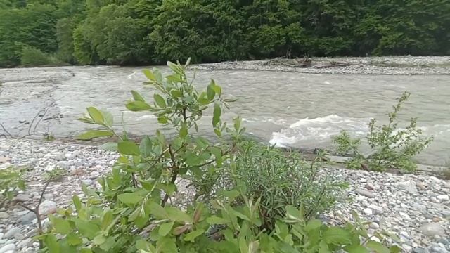 #село#огород#прогулка в горы#чегем# смотреть онлайн