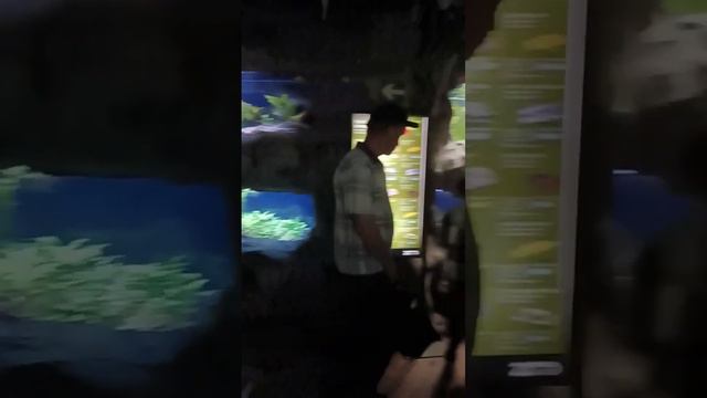 Прогулка по Алматинскому зоопарку.1 мая смотреть онлайн